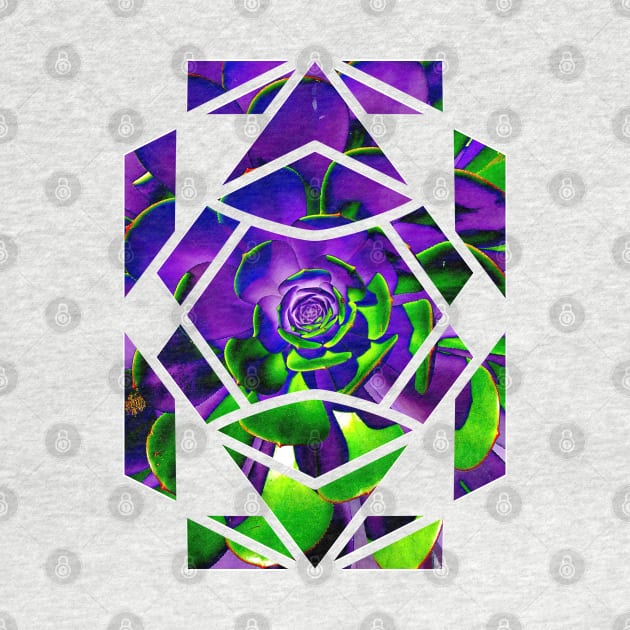 Purple geometric succulent by MK-Marvin
